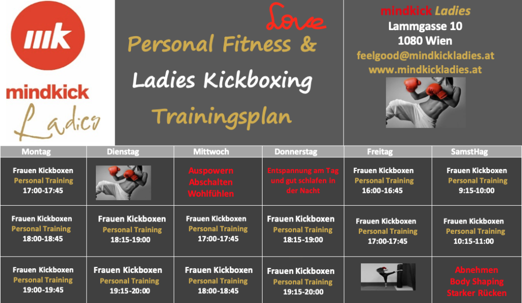 mindkick Ladies Kickboxen Trainingsplan 1080 Wien